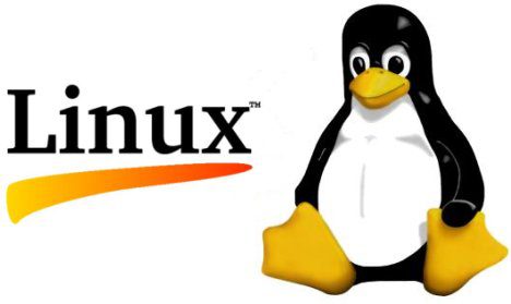Linux Kernel 5