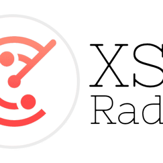 XSS Radar