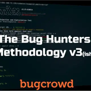 Bug Hunters Methodology