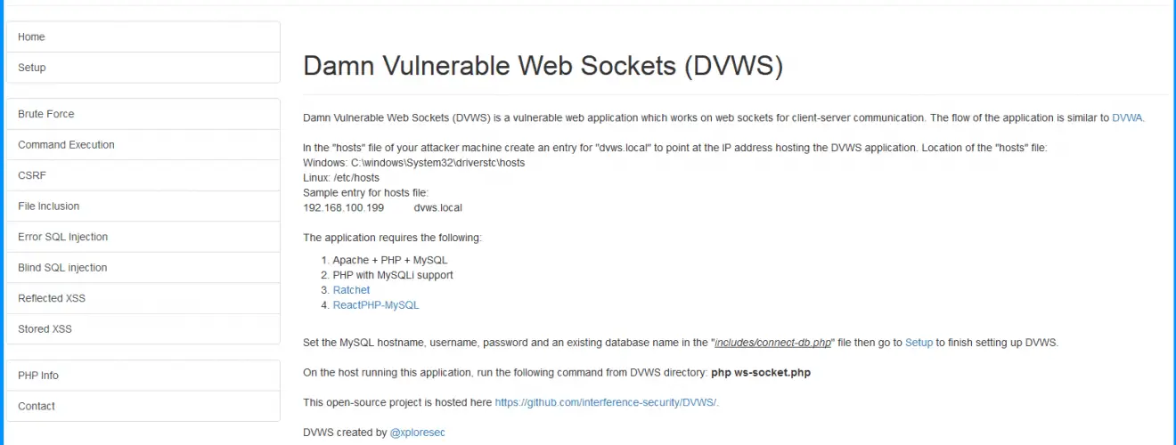 Damn Vulnerable Web Sockets