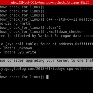 Meltdown Linux