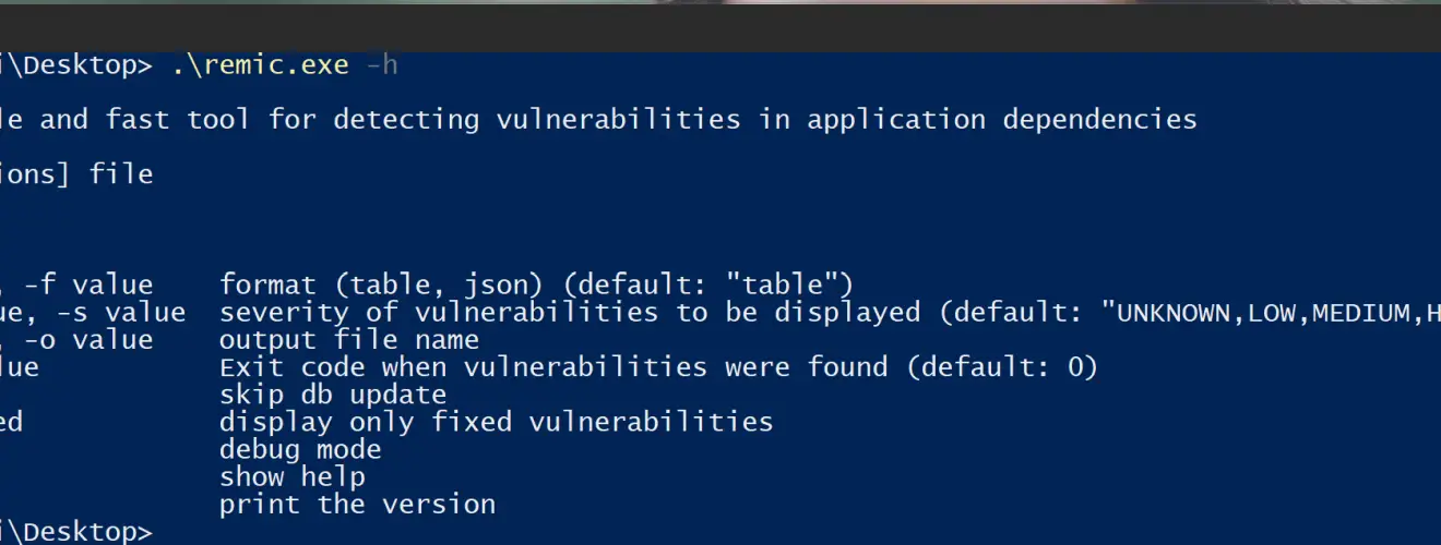 Vulnerability Detection