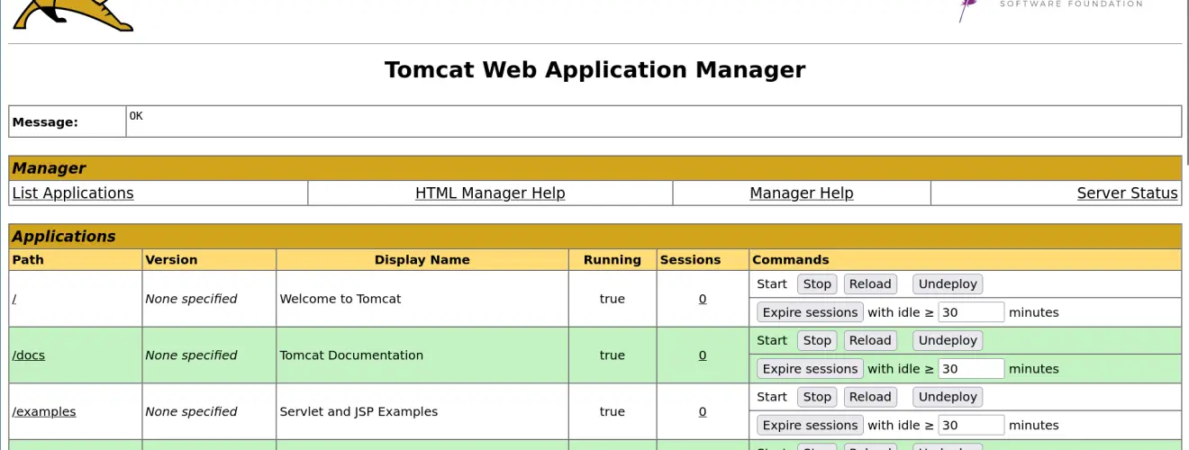 Apache Tomcat webshell