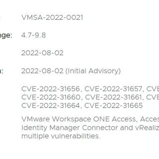 CVE-2022-31656