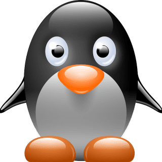 Linux Kernel Remote Code