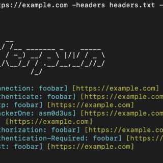 finding HTTP headers anomalies