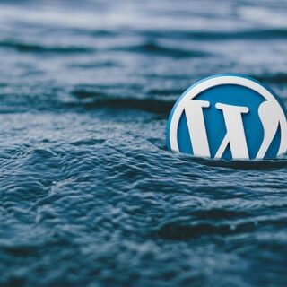 WordPress vulnerabilities