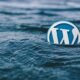 WordPress vulnerabilities