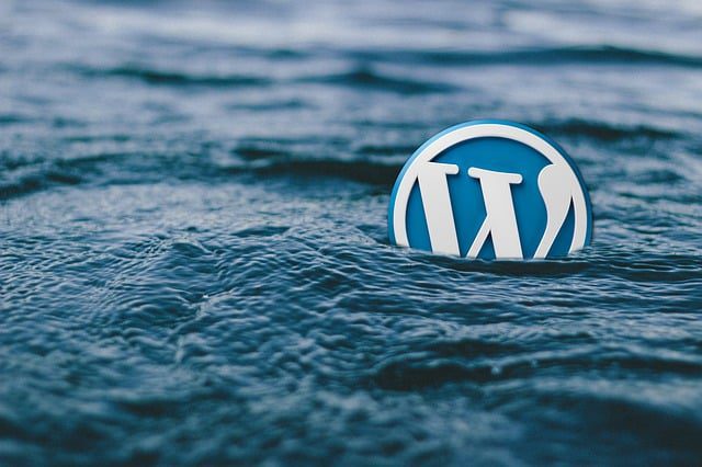 WordPress vulnerabilities