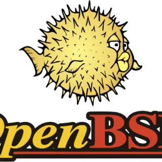 OpenBSD Hardware Acceleration