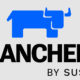 Rancher - CVE-2022-45157