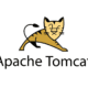 CVE-2024-38286 - Apache Tomcat 11